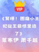 《驚爆！團寵小王妃從王爺懷里逃了》葉寒伊 蕭千越