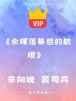 《余暉落幕后的航燈》辛向晚  裴司弈