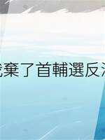 我棄了首輔選反派