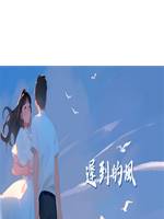 遲到的風