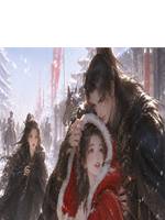 將軍的如夫人