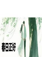 春日正好