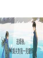 逃婚後，未婚夫對我一見鐘情