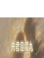 夫君是魔丸